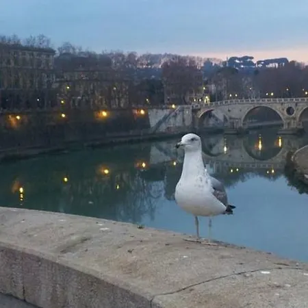 Welcome To 住宿加早餐酒店 *