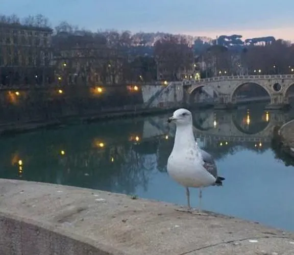 Welcome To Couette-café *